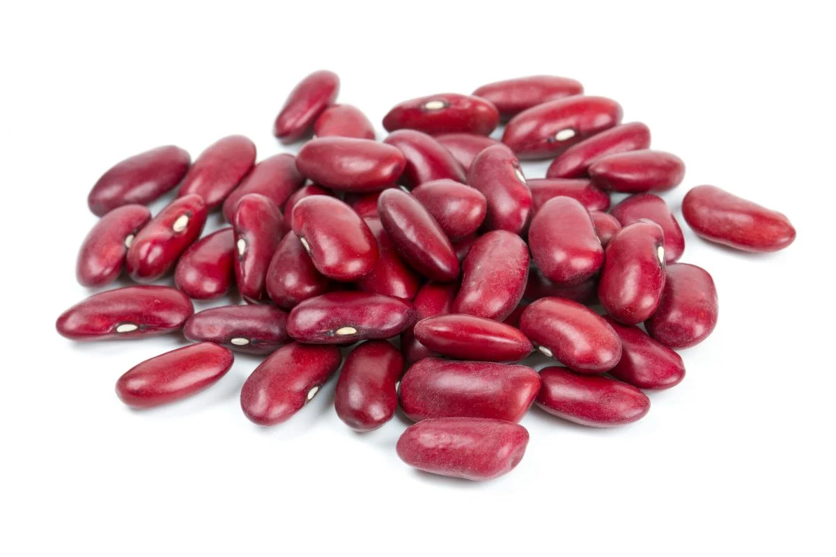 Haricot Rouge