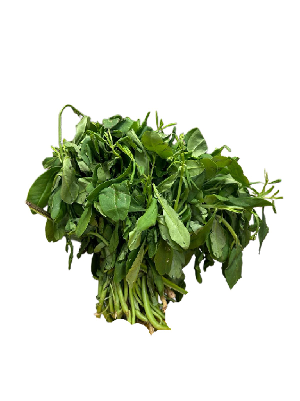 Wata Leaf